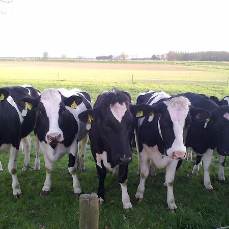 B&B Boerderij Wijtvliet Langeweg 외부 사진