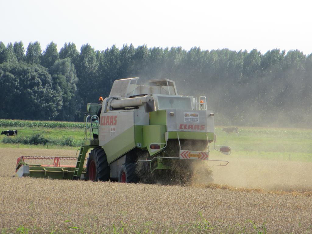 B&B Boerderij Wijtvliet Langeweg 외부 사진